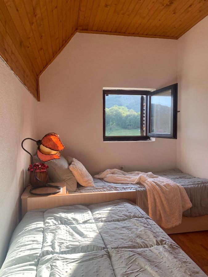 Blackberry House Zabljak Ngoại thất bức ảnh